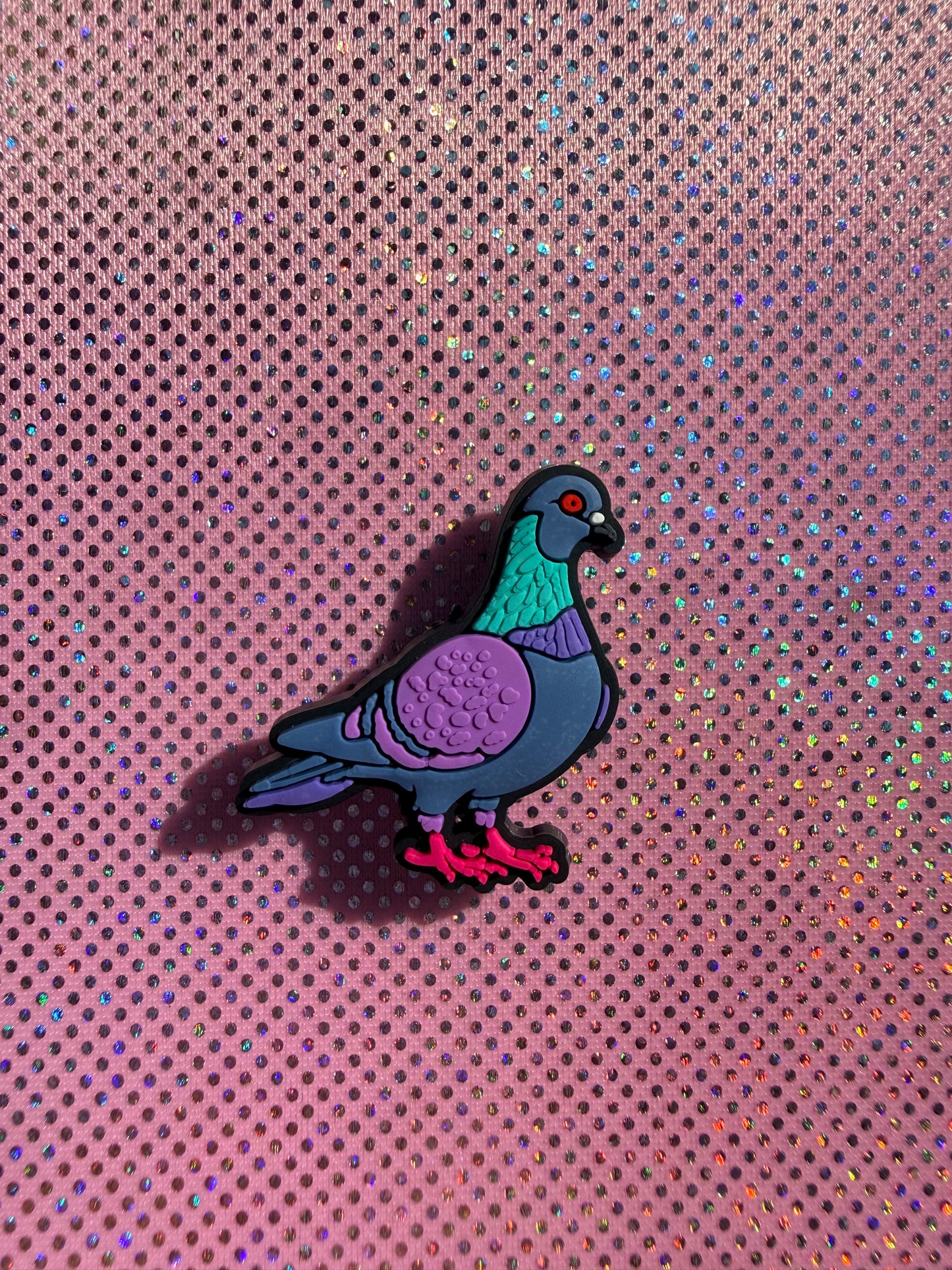 Pigeon collection