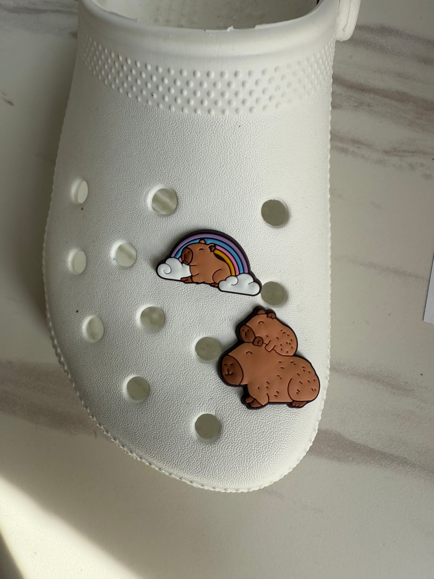 Capybaras