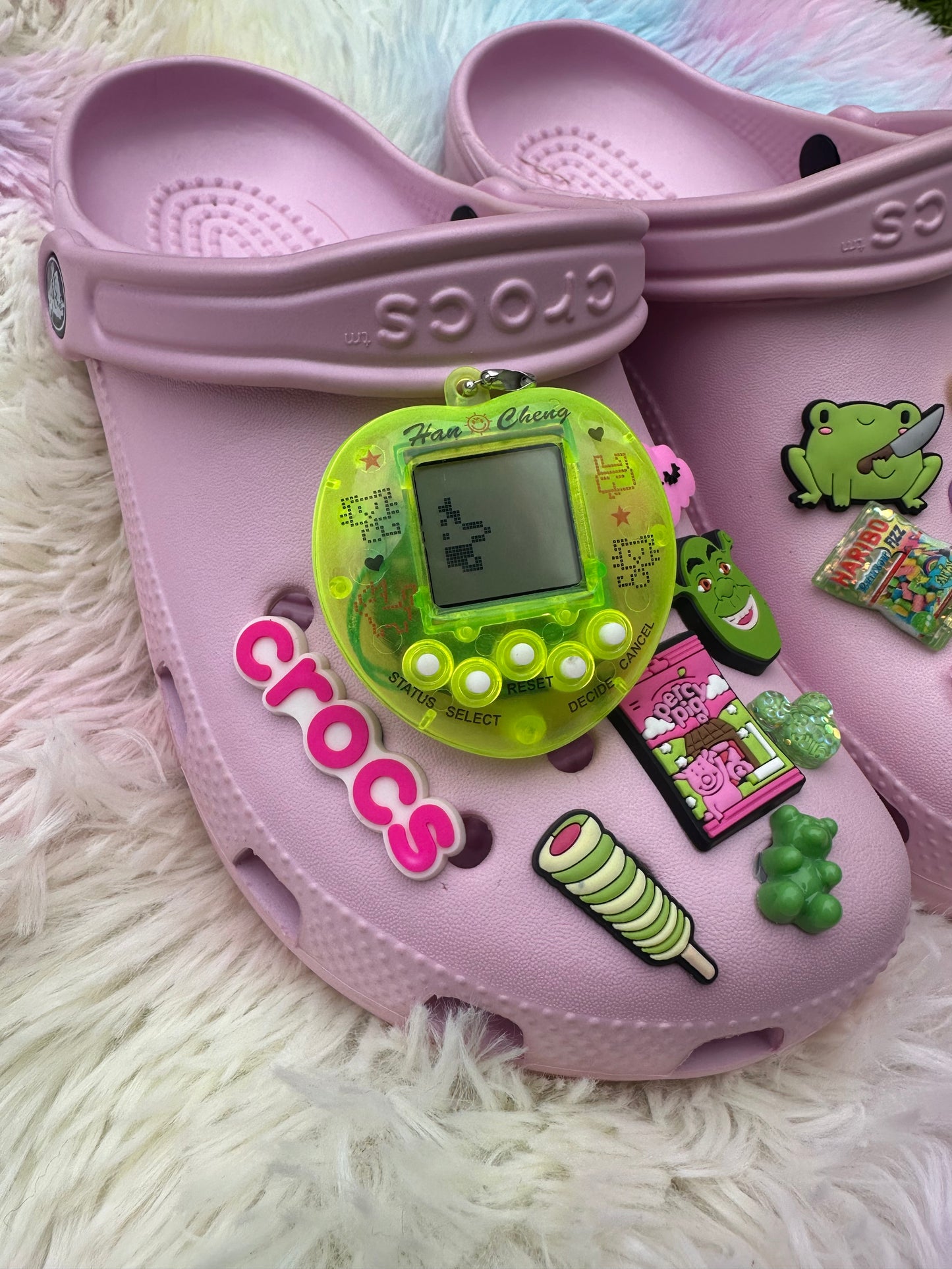 Cyber Pet Charm