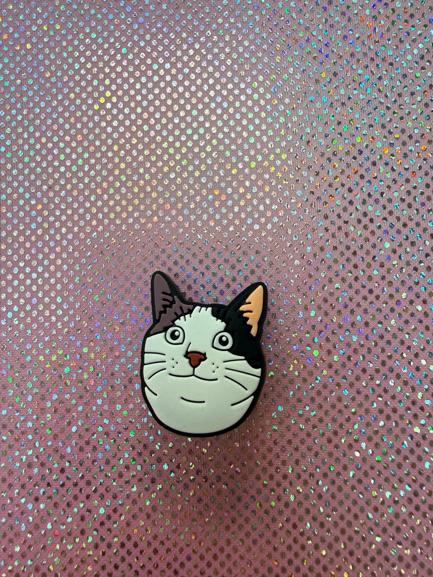 Cat meme