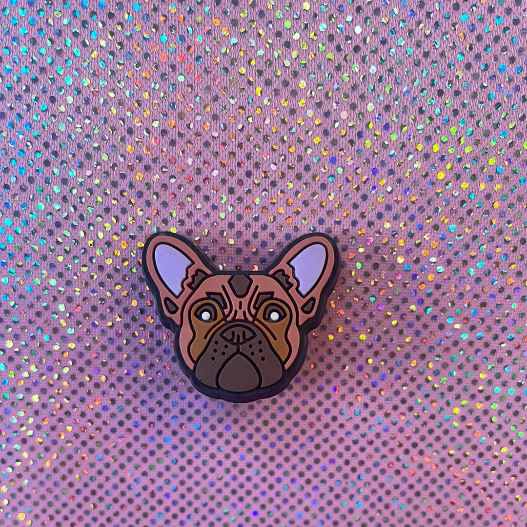 Brown Frenchie