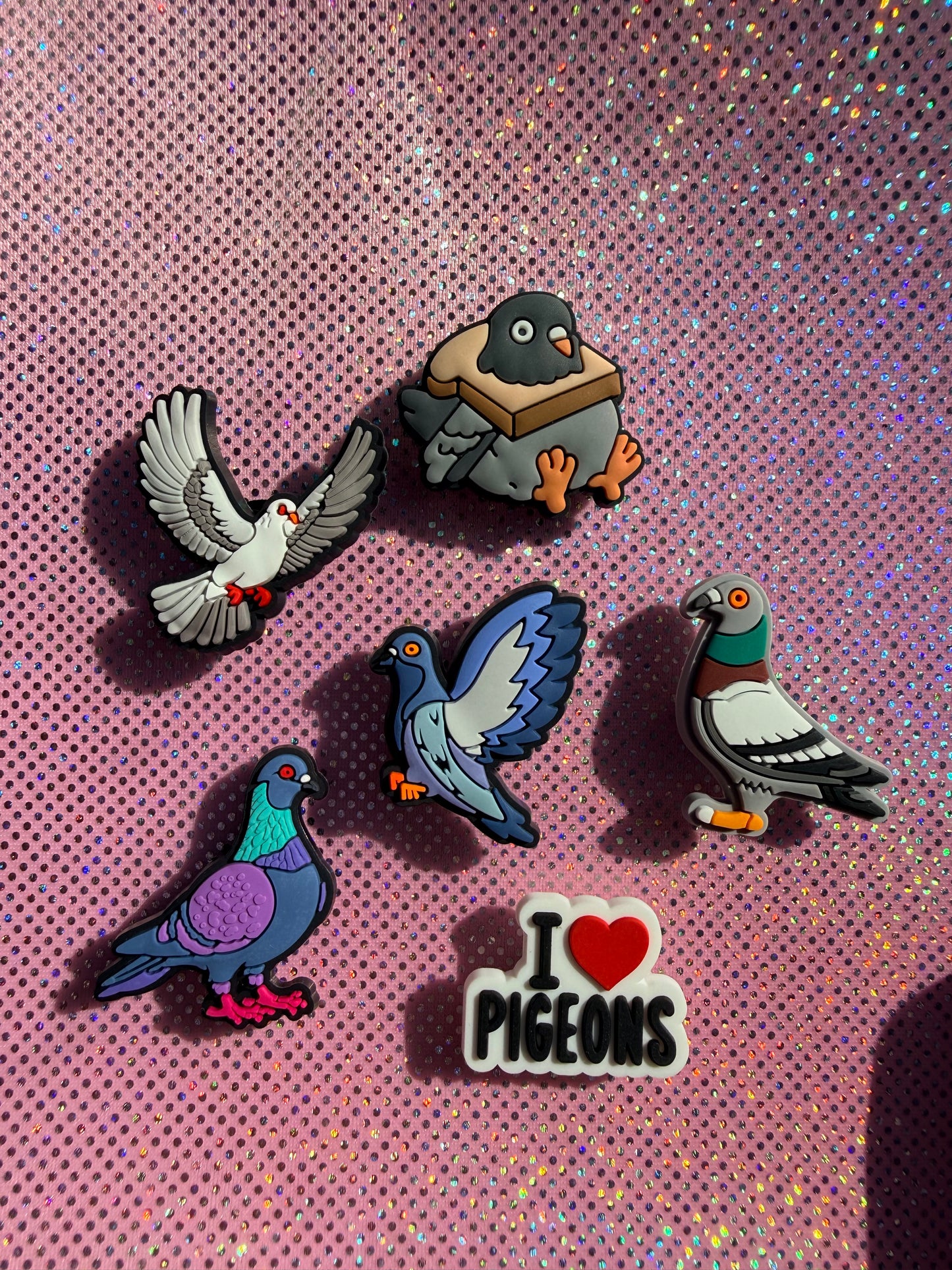 Pigeon collection