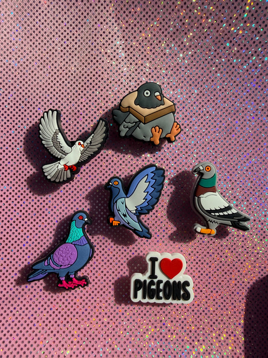 Pigeon collection