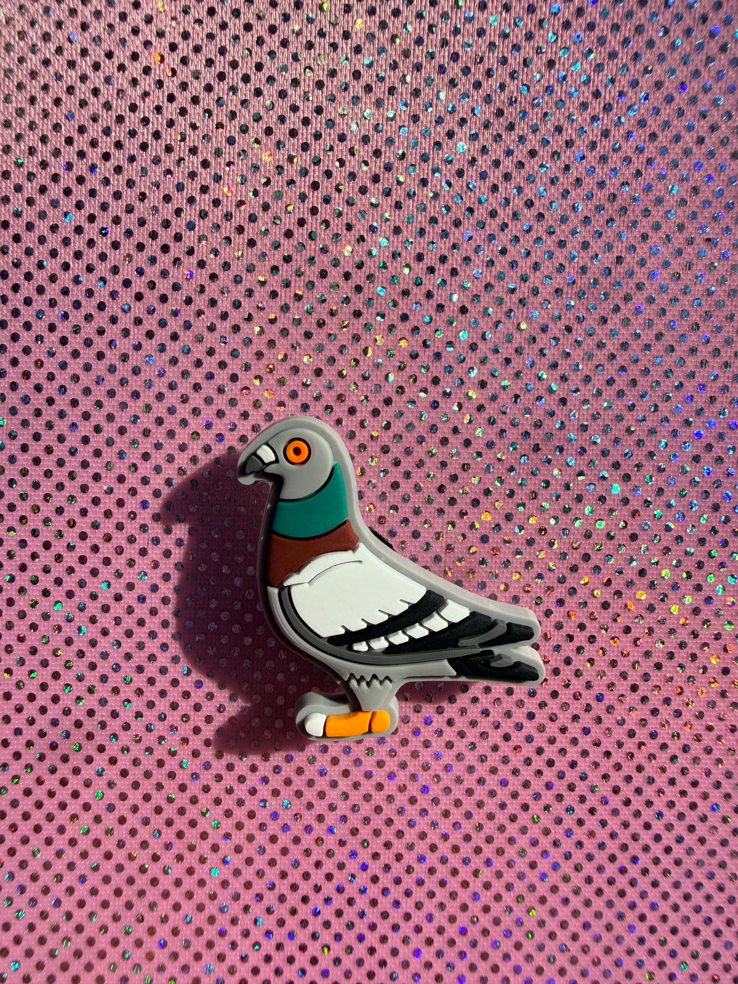 Pigeon collection