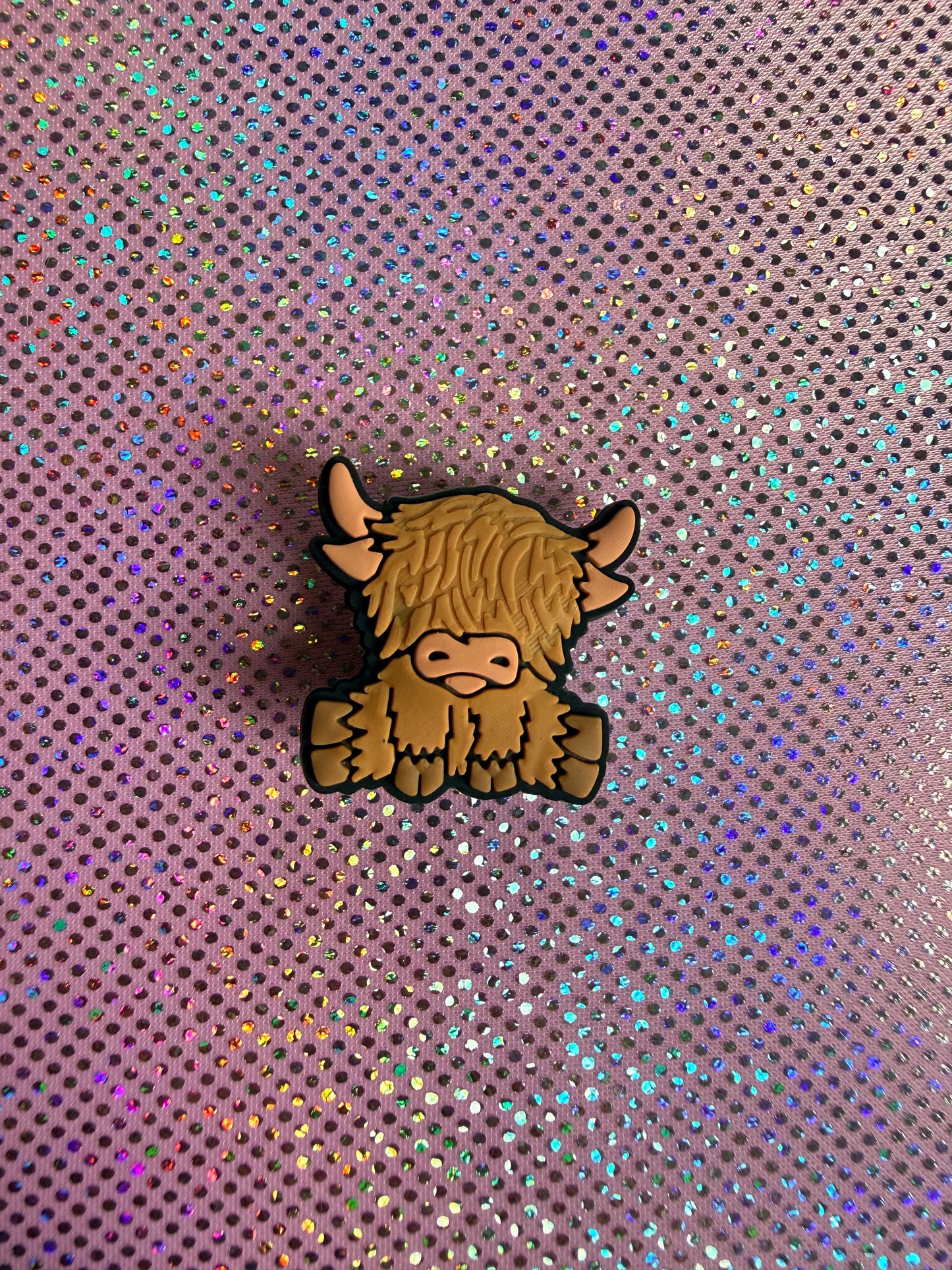 Highland cow